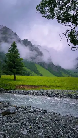 This & No Stress ♥️🏞️⛈️ 📍Domal Astore valley Gilgit Baltistan 🇵🇰 𝐏𝐥𝐚𝐧 𝐲𝐨𝐮𝐫 𝐩𝐞𝐫𝐟𝐞𝐜𝐭 𝐜𝐮𝐬𝐭𝐨𝐦𝐢𝐳𝐞𝐝 𝐁𝐲 𝐚𝐢𝐫 𝐭𝐫𝐢𝐩 & 𝐛𝐲 𝐫𝐨𝐚𝐝 𝐭𝐫𝐢𝐩𝐬 𝐭𝐨 𝐝𝐢𝐟𝐟𝐞𝐫𝐞𝐧𝐭 𝐝𝐞𝐬𝐭𝐢𝐧𝐚𝐭𝐢𝐨𝐧𝐬 𝐢𝐧 𝐩𝐚𝐤𝐢𝐬𝐭𝐚𝐧 𝐰𝐢𝐭𝐡 Hunza Tourism Club WhatsApp: +923489930504   Skardu | Hunza | Fairy meadows | Astore minimerg | Naran kaghan     Direct flights available from Karachi - Lahore - Islamabad  & Dubai  1: Family Tours  2: Honeymoon Tours  3: Corporate Tours  4: Group Tours 5: College / university tours  Make memories with your loved ones We are offering affordable packages. Get your quote today.  ⁨WhatsApp us  ⁨0348 9930504⁩ #foryoupage #trending #unfreezemyacount #dildilpakistan #hunzatourismclub 