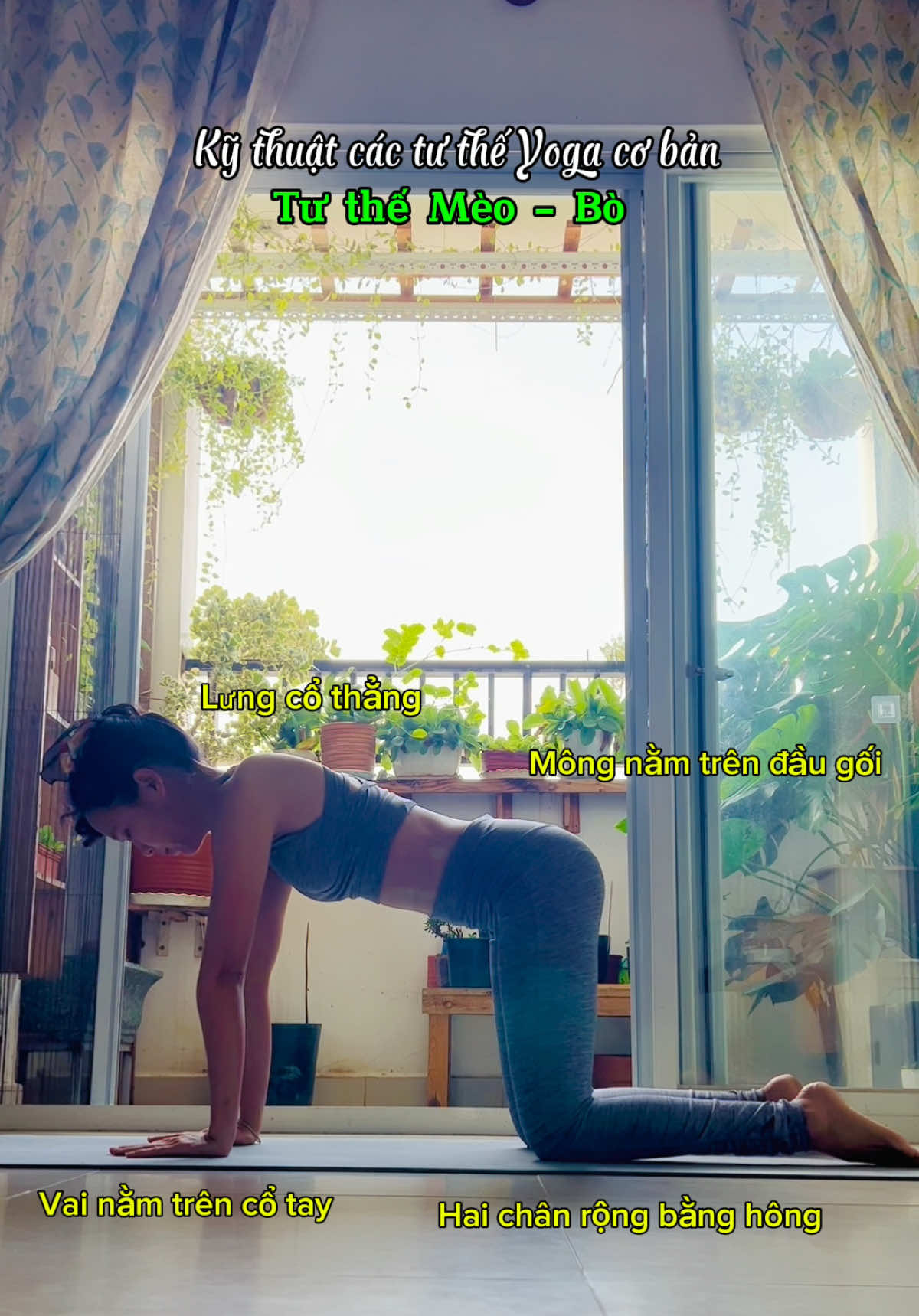 𝗞𝘆̃ 𝘁𝗵𝘂𝗮̣̂𝘁 𝗰𝗮́𝗰 𝘁𝘂̛ 𝘁𝗵𝗲̂́ 𝗬𝗼𝗴𝗮 𝗰𝗼̛ 𝗯𝗮̉𝗻 - Tư thế Mèo Bò  - Lưng cổ thẳng  - Vai nằm trên cổ tay - Mông nằm trên đầu gối  - Hai chân rộng bằng vai 🌱 Lưu ý:  - Khoảng cách từ tay đến chân cố định  - Tay bị cán vá thì xoay nhẹ cùi trỏ ra ngoài  - Không dồn lực tối đa vào thắt lưng  #yogacoban #yogainspiration #Mayoiyoga #yoga #wellness 