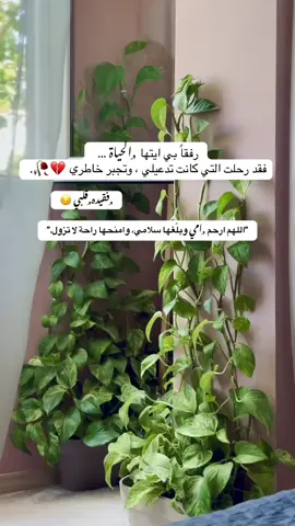 ياغصة هالعمر 😔💔 #امي #اللهم_ارحم_امي_وجميع_امهات_المسلمين #الام 