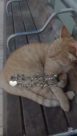 #CapCut #اقتبسات #تصميمي❤️ #عملولي_لايك_وفولو❤️ 