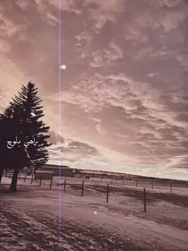 #foryou #foryoupage #foryoupageofficiall #trending #trending 