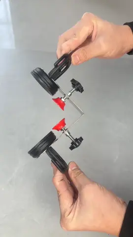 Con ke bo gờ cạnh gạch men