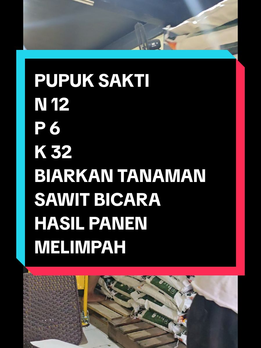 Petani Cerdas Pasti Memakai N12 P6 K32 Agrosawit Pupuk Berkualitas Tinggi Buah Besar Buah Berat Sawit Sehat Sawit Yg Terawat berikan Balasan hasil Buah Yg Dahsyat Panen meningkat Hasil Melimpah, Cuannya Buanyyakk minatt hub 082346443592 #sahabatkaribmakassar #juranganpupukmakassar  #agrosawit  #fyppppppppppppppppppppppp 