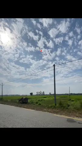 Tum puri jindagi mera saath dene wale they❤️‍🩹🥲#naturelover #fyp #foryoupage #goviral #parati 