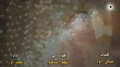 قالو تحبه //شيلات الخليج 2025 -@