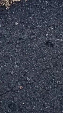 isih diparangi sehat😇🤲🏼 #kphjogjastyle #kphgank #kphganksoloraya🚀 #dragongank #csxfactorymuffler 