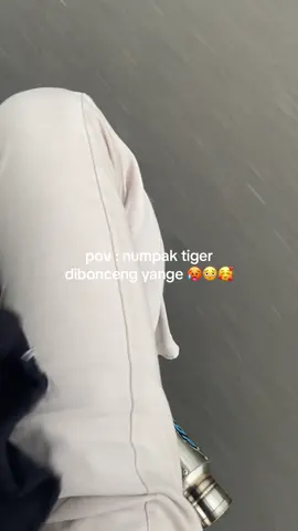 penak mbonceng🥴 #tigerberkahmebel #fyp #tigergank 
