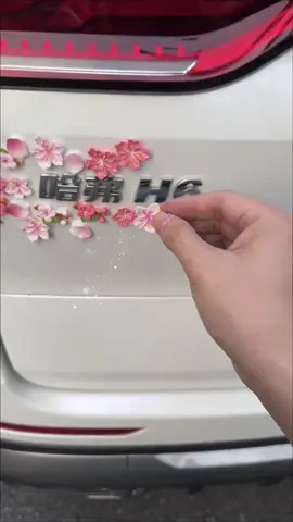 Memilih stiker ini memang punya pandangan yang luar biasa—cantik banget dipasang di mobil!#hiasanmobil #aksesorismobil #dekorasi #fyppppppppppppppppppppppp 