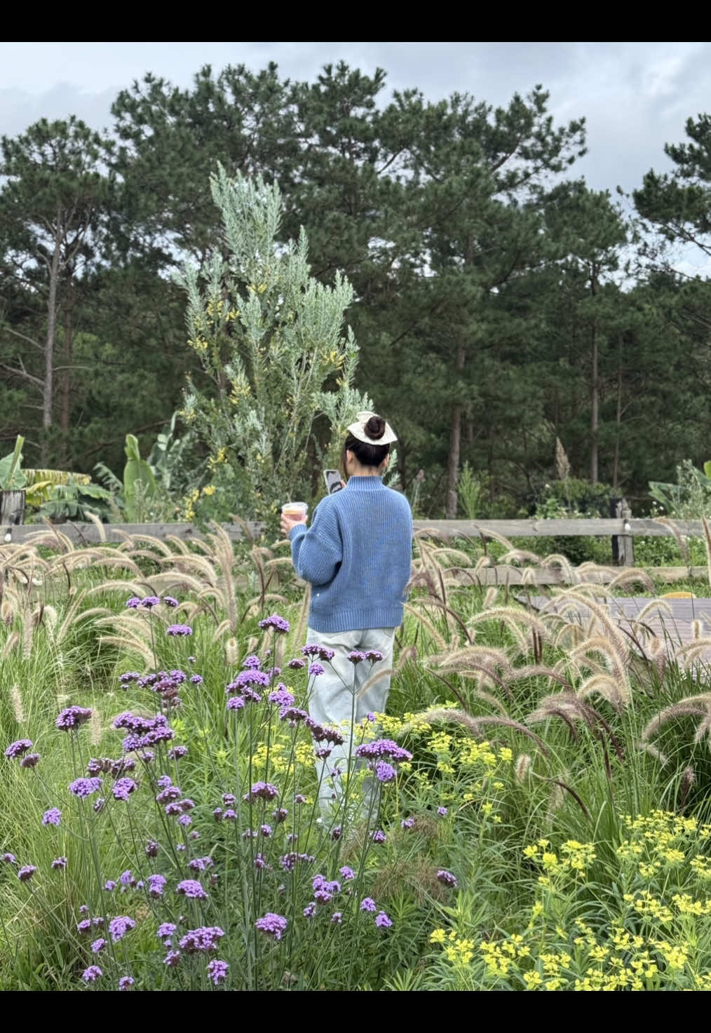 Bạn đang trải nghiệm đường tới HiddenLand Đà Lạt cùng 2 cái chợ #hiddenlanddalat 