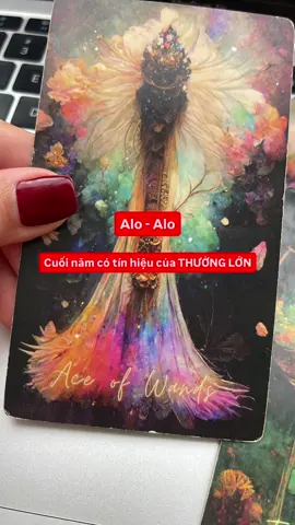 #tarotdaily #thongdiep #xh 