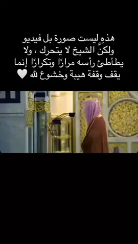 #قران_كريم #السعودية #fyp #foryou 
