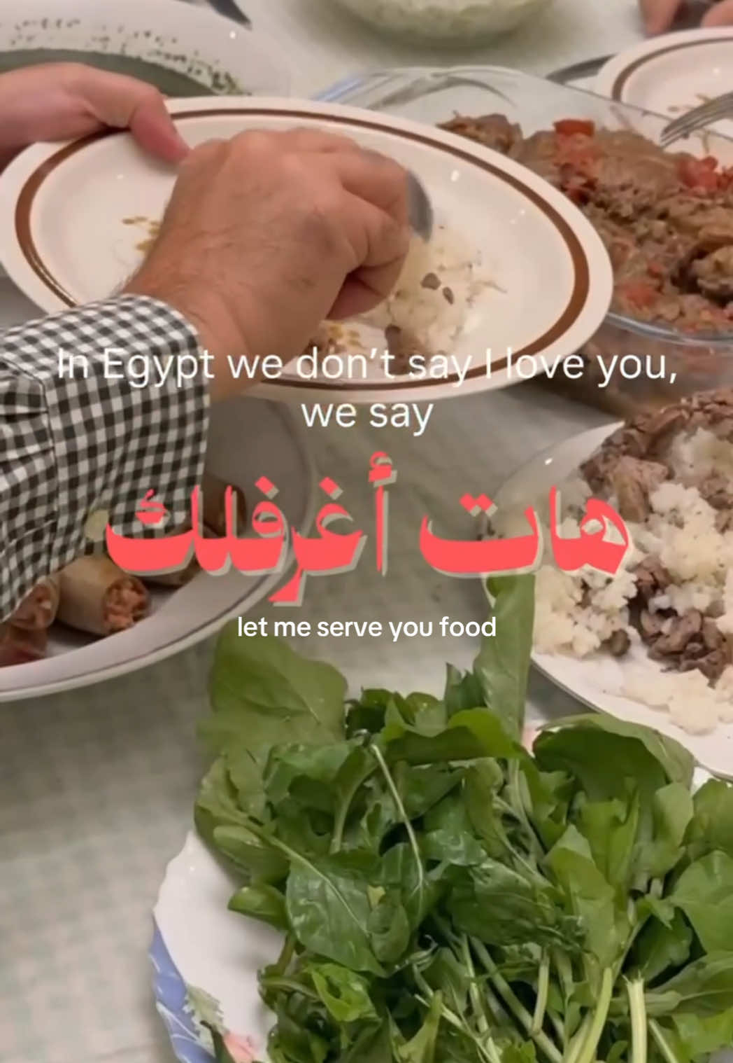 Favourite love language✨ Our website is live…. you can now order the cookbook!! www.tetaloula.com #egypt #food #egyptianfood #cookbook 