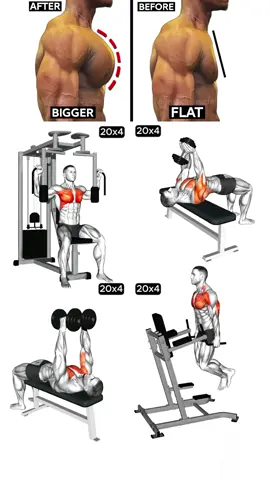 A strong chest is the foundation of a strong upper body. Push yourself and feel the power 💯💪 #Ironmuscle #fyp #ChestDay #PushDay 