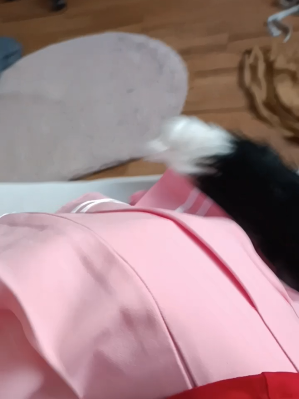 good morning everyone you are a good boy #femboy #czechfemboy #cute #czechfemboy #cute #cutiepie #goodboy #cuddly 