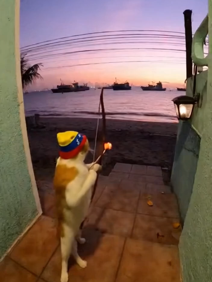 Gato miliciano #funny #humor #venezuela #milicianosvenezuela #sora2 #viral #gato #videoviral #casero #estadosunidos🇺🇲 #buques #original #parodia #gracioso #parodiahumor🤣🤣 #octubre🎃