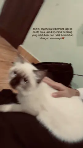 mnjdi gadis periang lgi..#fyppppppppppppppppppppppp #lewatberanda #LearnOnTikTok #lewatberandafyp #fypage #bahagiaitusederhana 