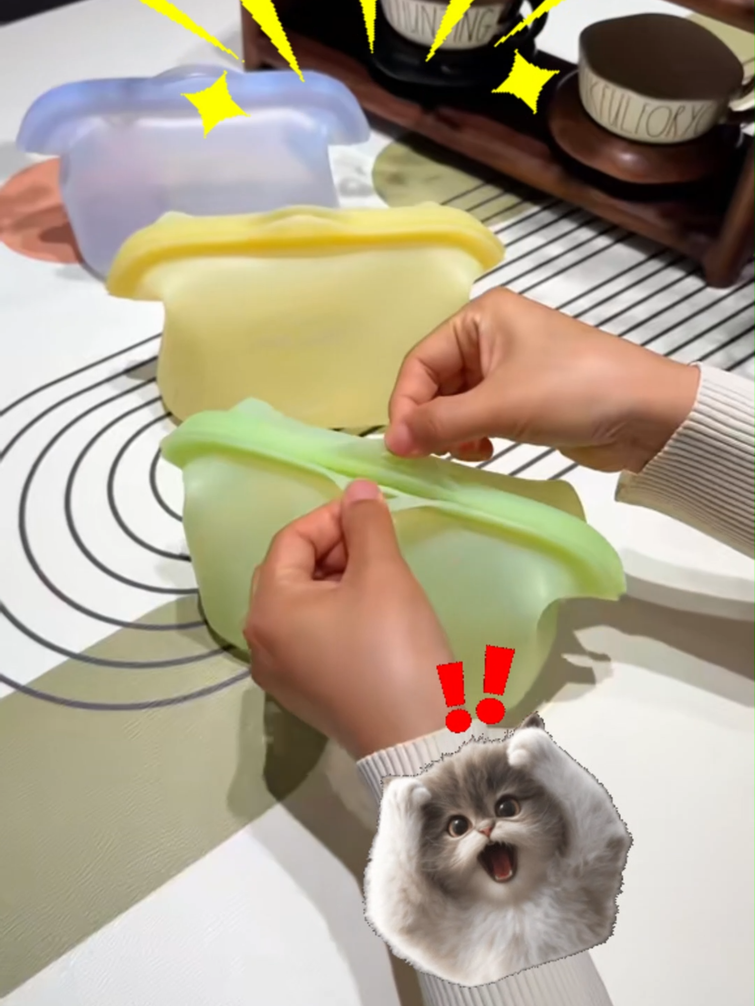 Chân ái đây rồi!! #hopdungsilicon  #hopdungtraicay  #hopbaoquanthucan  #meomeosup  #forkitchen