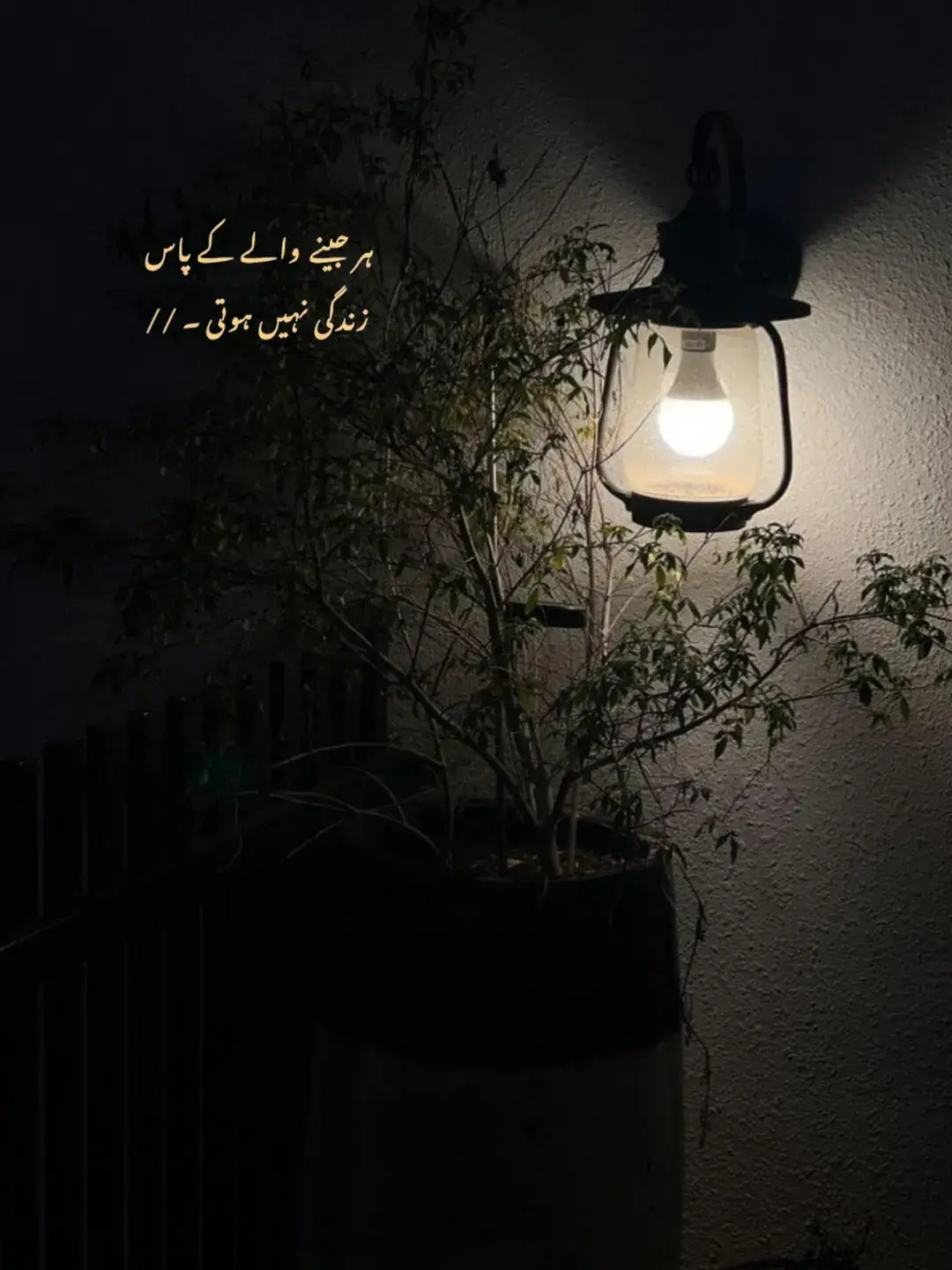 تمہارے بعد میری پسند کا کوئی تھا ہی نہیں #lines💔  #foryoupage #foryoupage  #foryoupage #foryoupage 