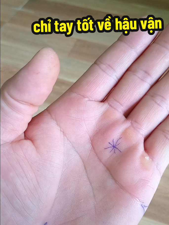 phần9 dấu hiệu tốt về hậu vận#chitay #xemchitay 