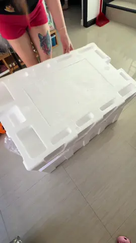 #BABY THREE EXPLORER 1000% PANDA.                               @wonderful passion  Thank you fiona❤️🥰