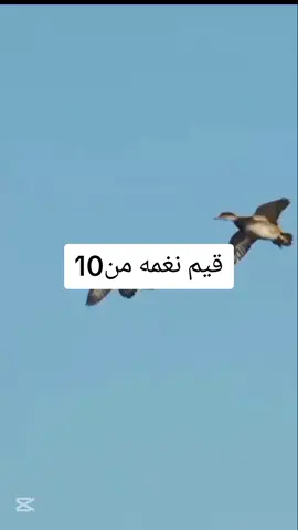 اذا صعد هاذه الفيديو انزل اقوئ