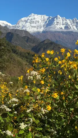 Nepal❤️🇳🇵 #naturemania  #myagdi #nature #mountain #nepal
