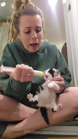 Cute moments when feeding kittens#cat #kitten #cute #lovely #fyp