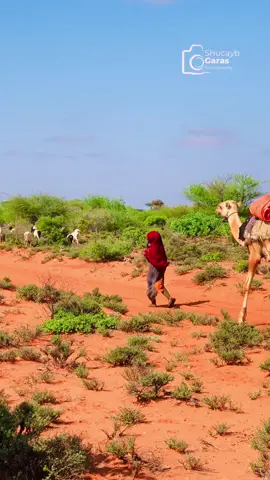 Ukala codeeya gabar baadiye iyo gabar magaalo ? #fyp #somalitiktok #viral #tiktok 