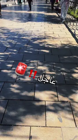 #algerie🇩🇿 #marocaine🇲🇦 #fyp #baljika❤️🇧🇪 #الشعب_الصيني_ماله_حل😂😂 