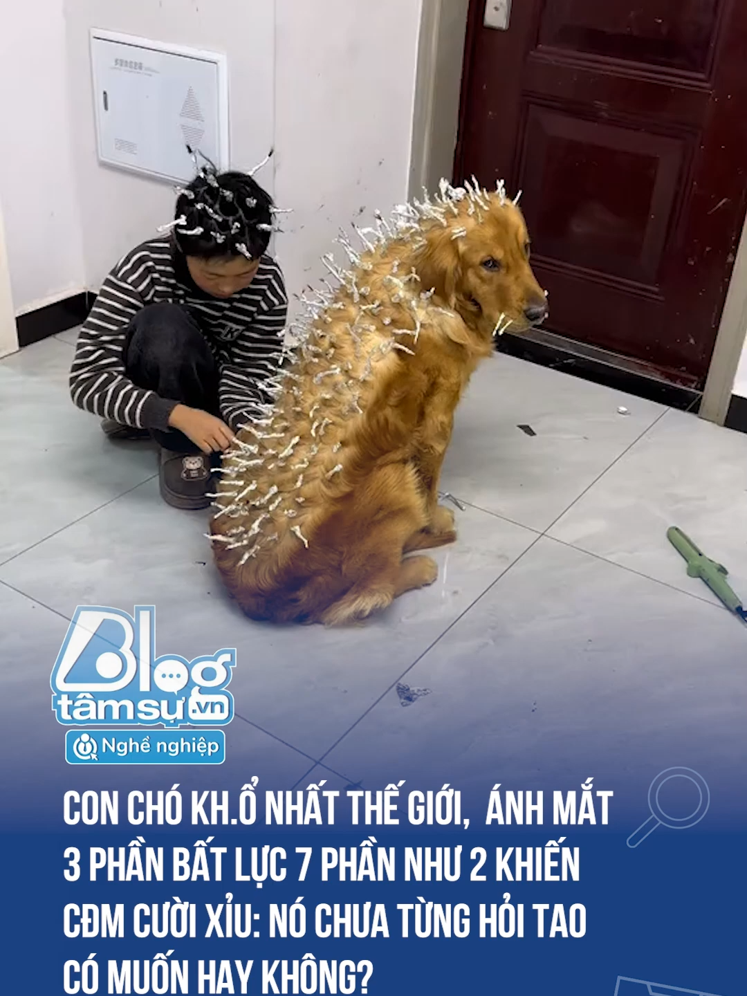 Cái râu cũng không tha nữa 🤣🤣🤣#discovery #blogtamsu #xuhuong #btsmedia #tiktoknews #funfact #viral #haihuoc #dangyeu #cho