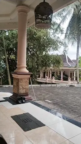 SEMANGAT UNTUK BERKAH#fyp tetep jalani opo anane#fyp bismillah#