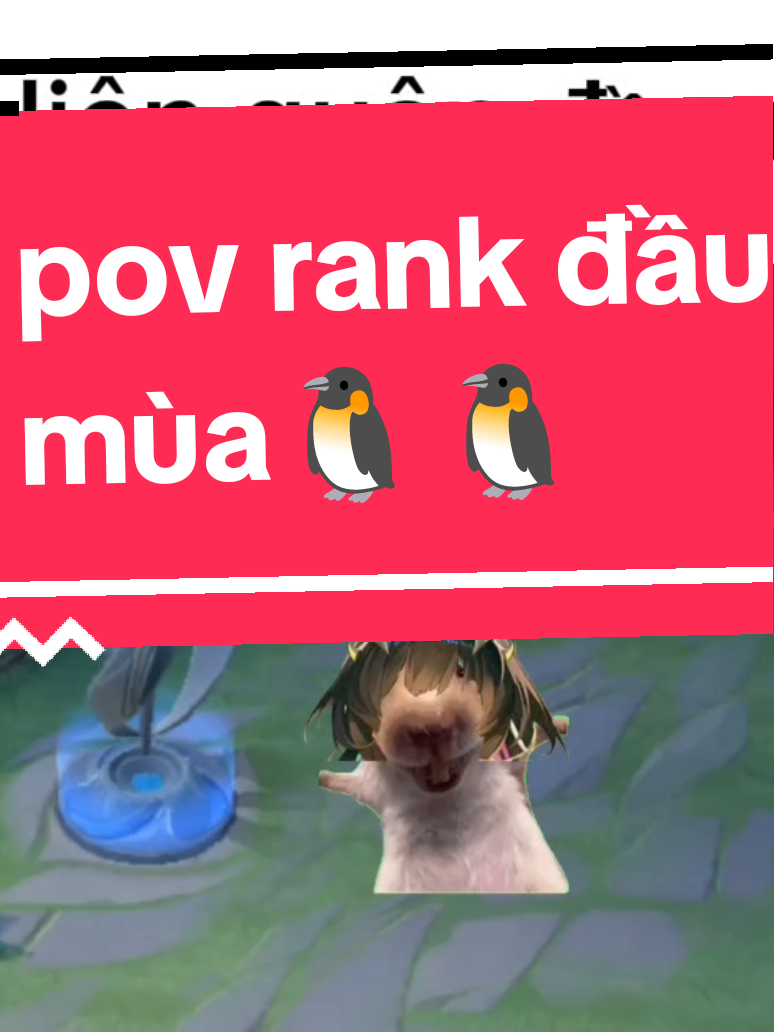 pov rank đầu mùa 🐧🐧#fyp #viral #xuhuong #lienquantiktok #lienquanmobile_tiktok 