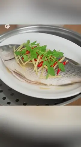 Nồi Hấp 21cm Nhỏ Gọn phù hợp từ 2-3 người ăn #noihap #sanphambanchay #sanphamxuhuong #sanphamtot #tienloi 