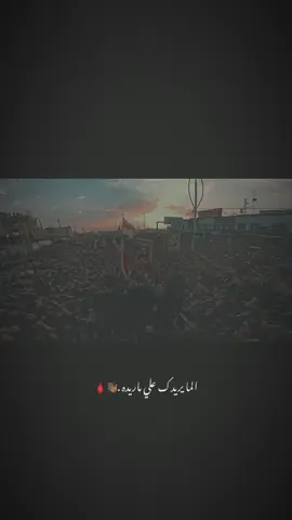 علي شلون نعوفه .🧏🏿🔥. . . . . . . . . . . . . . #خادم_المولى #سيد_فاقد #محمد_الحصناوي #ياعلي #الناصرية 