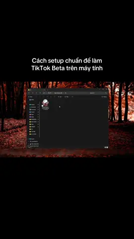Cách Setup chuẩn để làm TikTok Beta trên máy tính #youtube #mmo #tool #tiktokcreator #tiktokbeta 