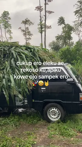 basah kuyup🥶