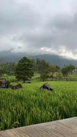 Suasana hujan di situ sengon 😍 #promoseruweekend #sumedanglens #dronevideo #sumedang #exploresumedang 