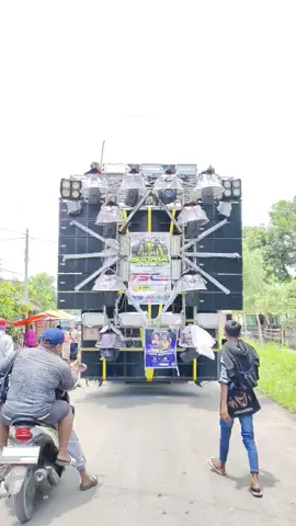 walange mulai menuju start#satriaaudiolumajang #fyp #ceksound #sidodadijember 