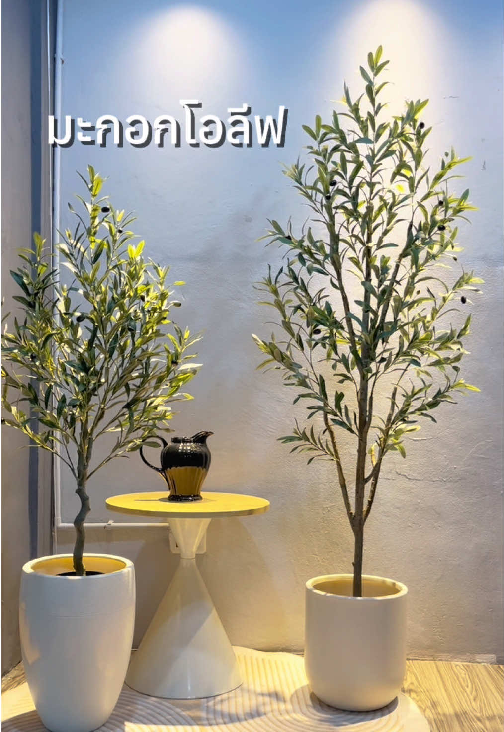 ต้นมะกอกโอลีฟ ต้นไม้ประดิษฐ์ตกแต่งได้หลากหลาย ขนาด 120,180cm#ต้นไม้ #foryou 