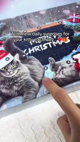 I think you HAVE to get your kitty one, it’s only right and yk it 🥹 #cat #fyp #viral #kitty #animals 