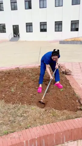 Tan ca đi cuốc đất cho đời thêm vui. Điều dưỡng mà, việc gì khó cứ để… từ từ rồi cũng biết làm!😄🌱 Lần đầu làm còn hơi bỡ ngỡ ạ 