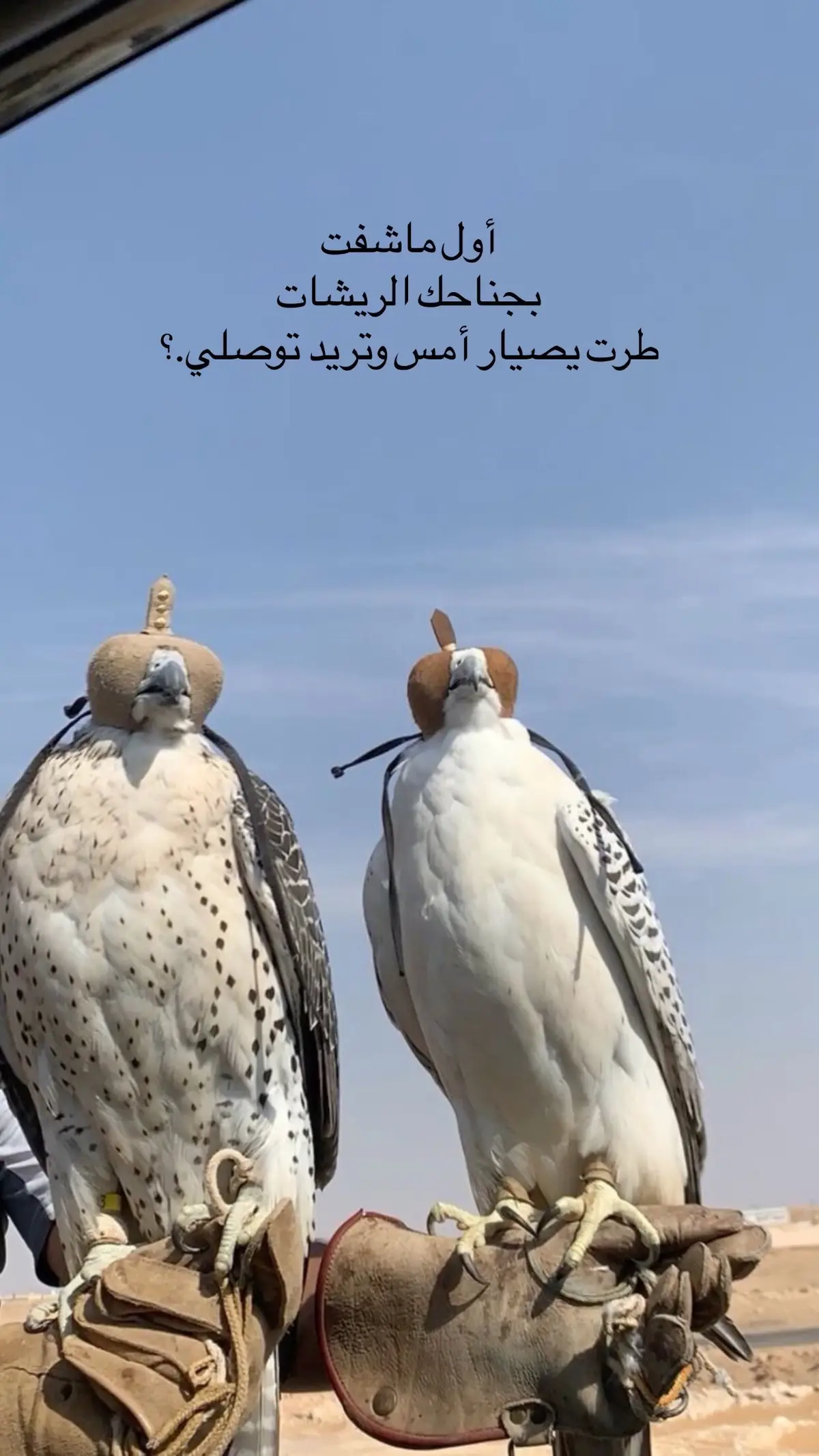 #شعراء_وذواقين_الشعر_الشعبي🎸 #عبراتكم_الفخمه📿📌 #علقوا_يالمبدعينء💭🔕 #ابوذيات_عراقيه_جنوبية #explore 