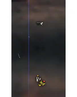 #SaRaiKiDhOrAy #MuNaFiQDuNiYa #FoRYoU #SaRaiKiDhOrAy #FoRYoU 