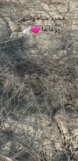 #الحدودالعراقيةالايرانية #اهوار_العراق #🇮🇶المغامر🇮🇶 #تصاميم_فيديوهات🎵🎤🎬 