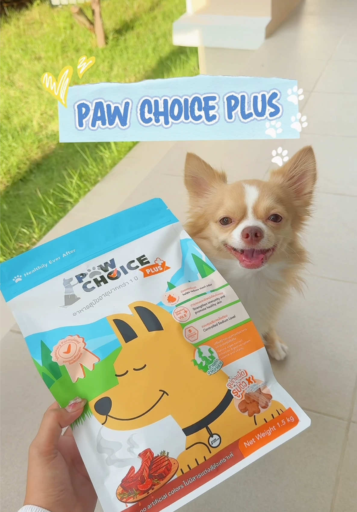 PAWCHOICE ทุกการสั่งซื้อคือ 2 เท่าของความสุข 🐶💞✨ #PawChoice #คิดทุกคำเพื่อเจ้าสี่ขา #อาหารหมา #หมาน่ารัก 