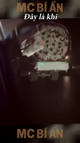 Bự Hơn Chút Xíu #docla #thuvi