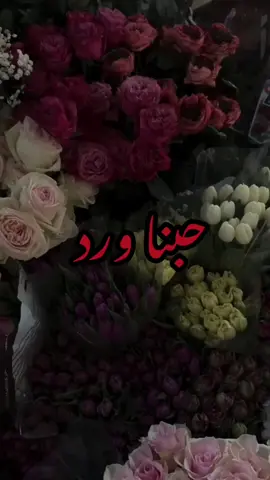 حُبنا وَرد زرعنا يا نوره 💛. #تصميمي #نور #ورد #الشعب_الصيني_ماله_حل😂😂 #تيك_توك_اطول 