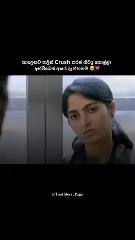 එහ්මද කෙල්ලනේ 🥹💗#fyp #foryou #viral #1millionaudition #repost #toothless #foryoupage #page_toothles 