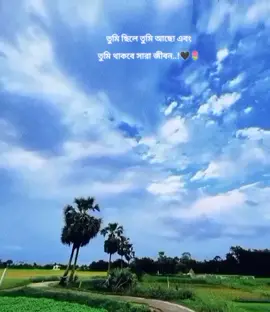 তুমি ছিলে তুমি আছো এবং তুমি থাকবে সারা জীবন..!🖤🌷H🩶
