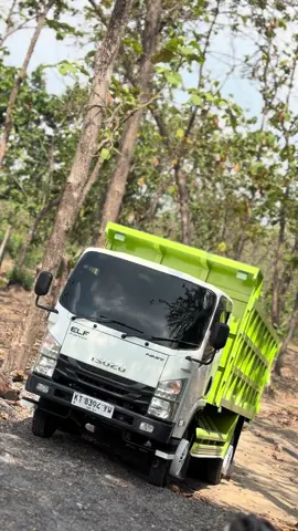 ijo ijo seger lo bolo iki🤙🏼 . . #sljayaofficial #sljayateam #jualbelitrucksljaya #jualbelitruckberkualitas #euro4 